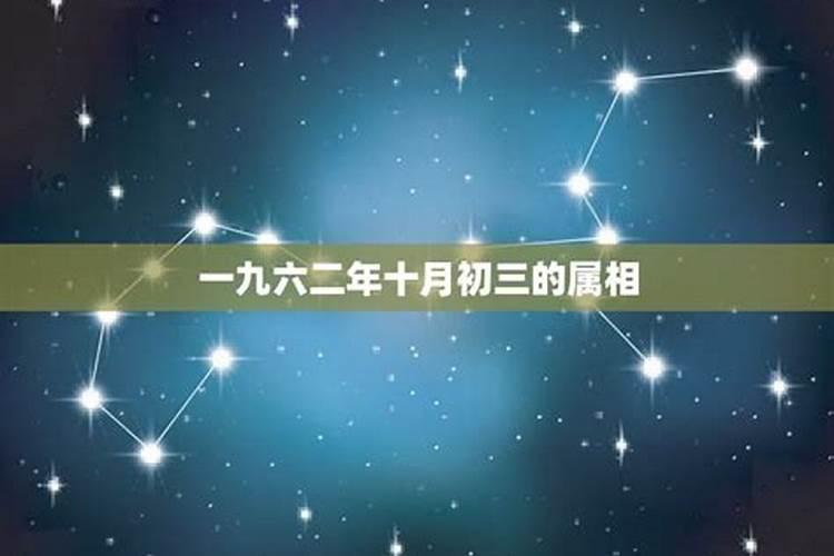 ...生日是1983年11月5日傍晚19点20点,猪年十月初一。女