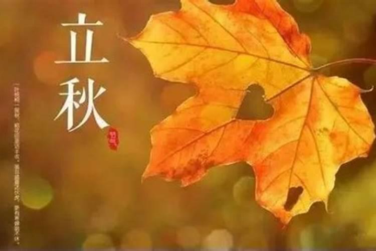 六月立秋两头不收是什么意思这句话中有大道理