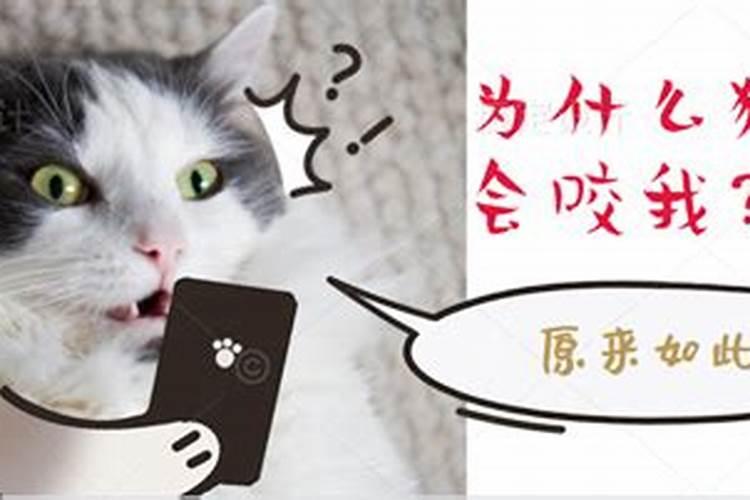 农历腊月三十在北京去哪玩比较好