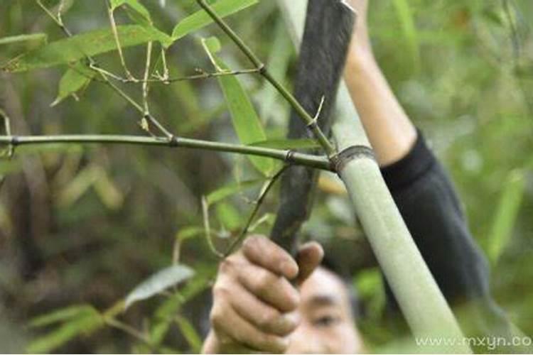 射手座分手多久会想复合
