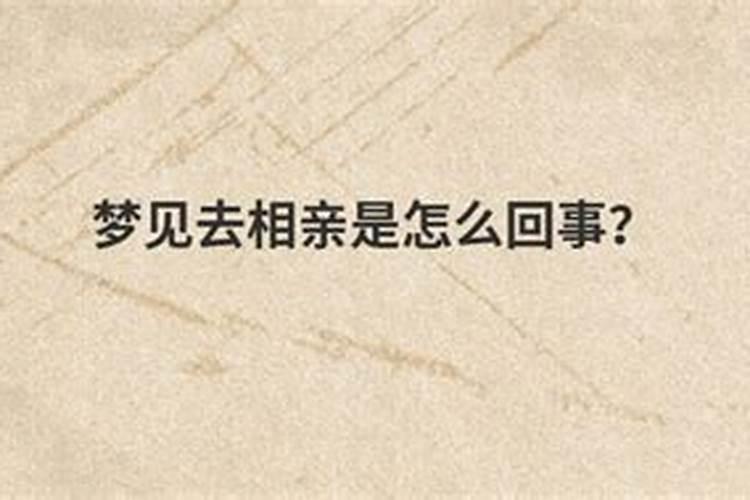 淄博张店哪里有灯会