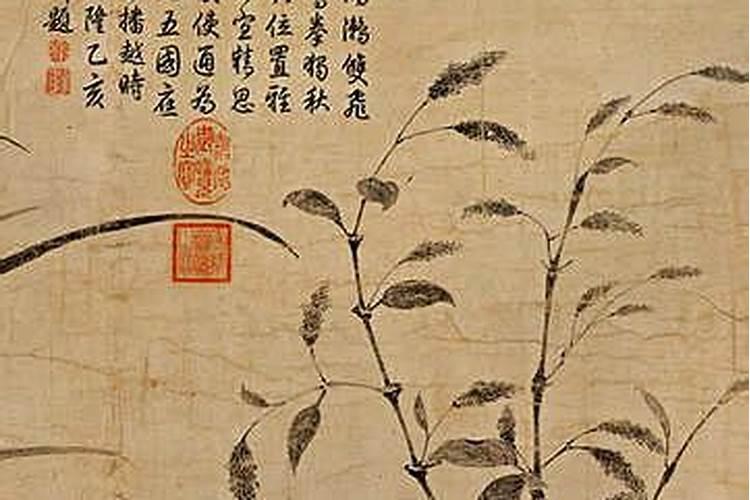 查看74年属虎人一生的命运,1974年属虎的男人一生的命运