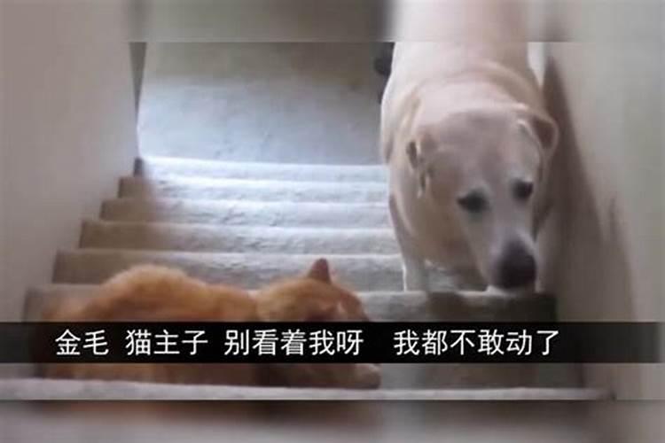 三月十五刮大风的民间说法