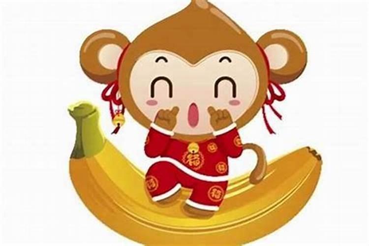 梦见龙卷风在山谷里转了两圈直接过来把我稳稳的卷飞我就想办法抓住树...