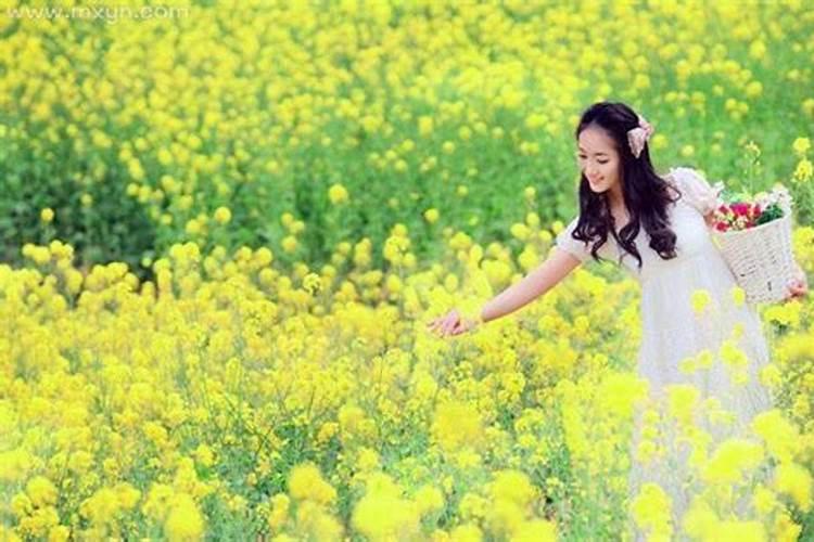 梦见漂亮的鲜花的预兆