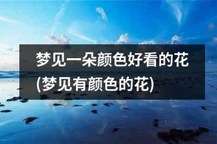 梦见鲜花盛开特别漂亮 梦见鲜花盛开特别漂亮梦境解析