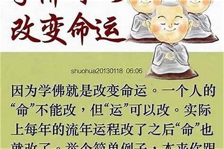 如何看待水晶在能量收集器中的作用