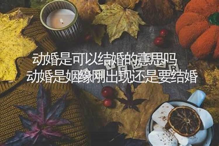 动婚什么意思