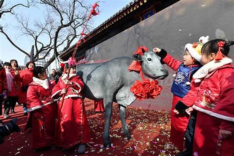 梦见被猫咬手不松口是什么预兆