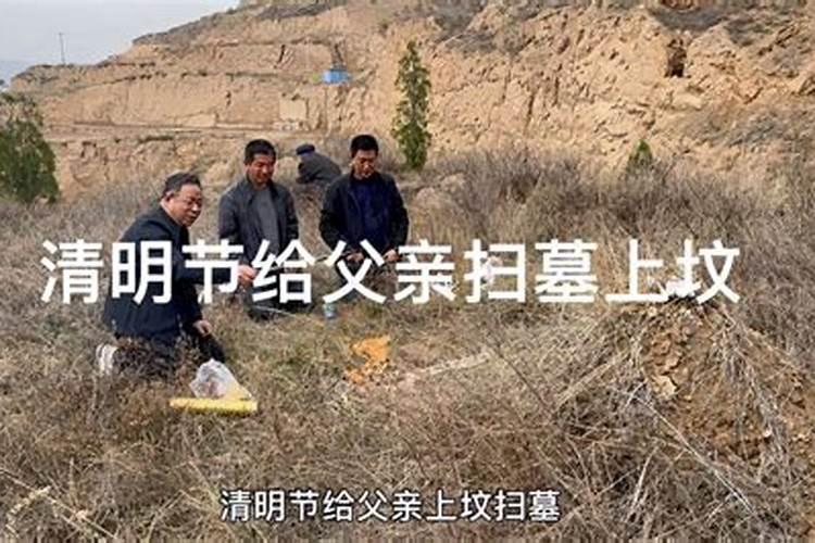 属虎和属猴的适合做夫妻吗？