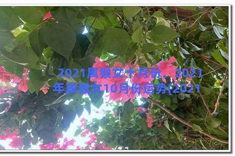 八字算命准确率多高