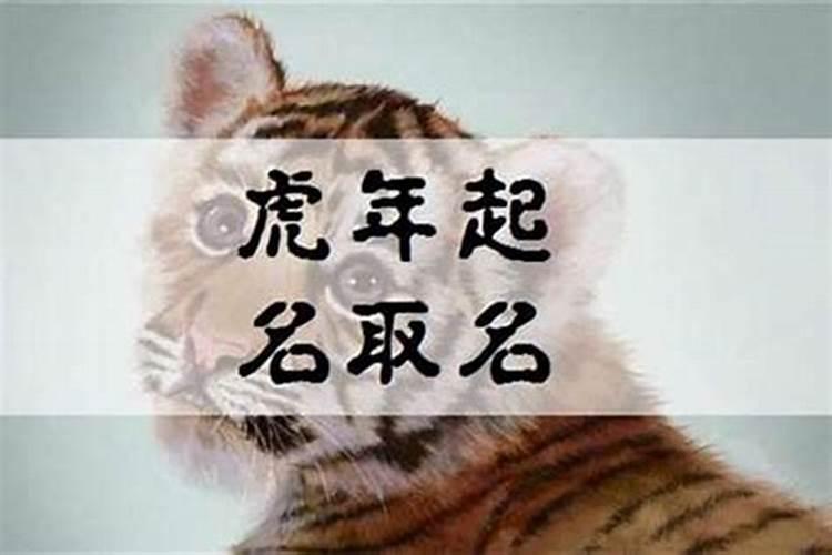 立夏出生的宝宝大名