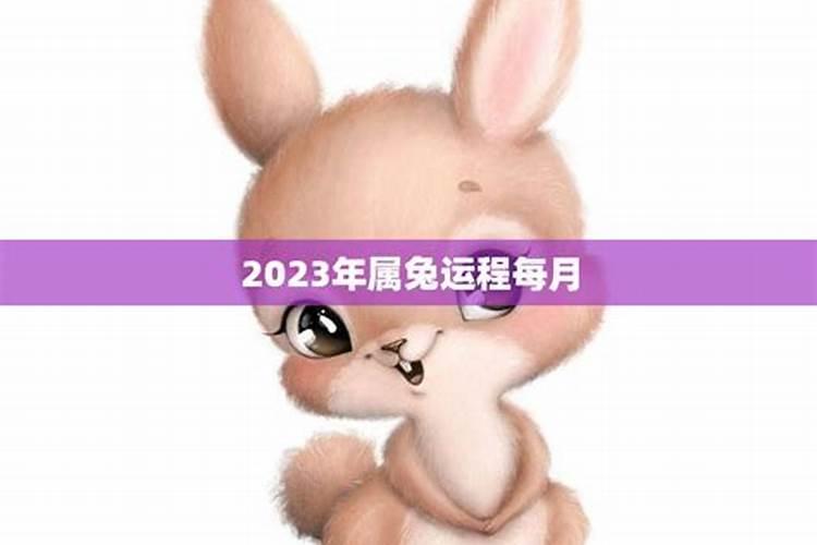 生肖龙1976年2025年运势如何 生肖龙1976年2025年全年运势