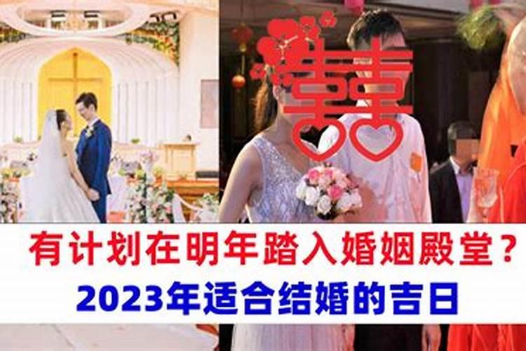 过年刺猬怎么摆放