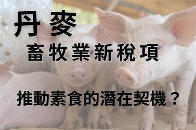2024年11月15日是什么生肖日