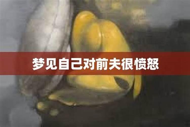 男龙女兔婚姻好不好？