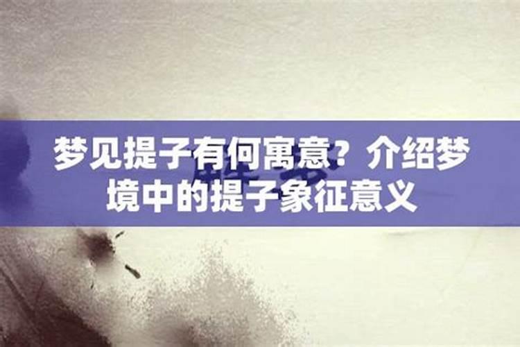 梦见红提子是什么意思？