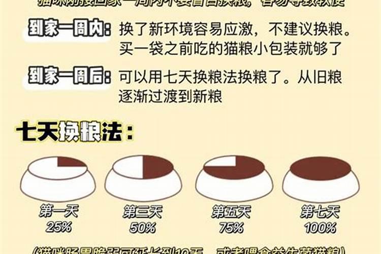什么属相不能养猫 和猫不相合的属相