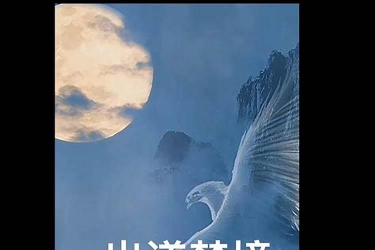 今天几点立秋时间是早上还是下午2024