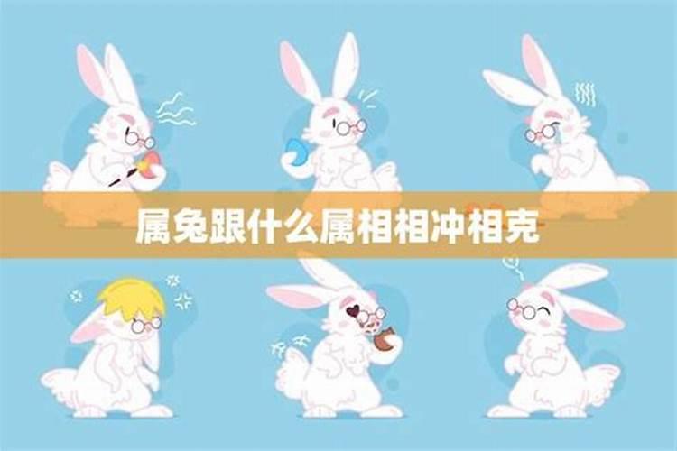 属兔人相冲相害相刑生肖 生肖兔最忌讳的三个属相？
