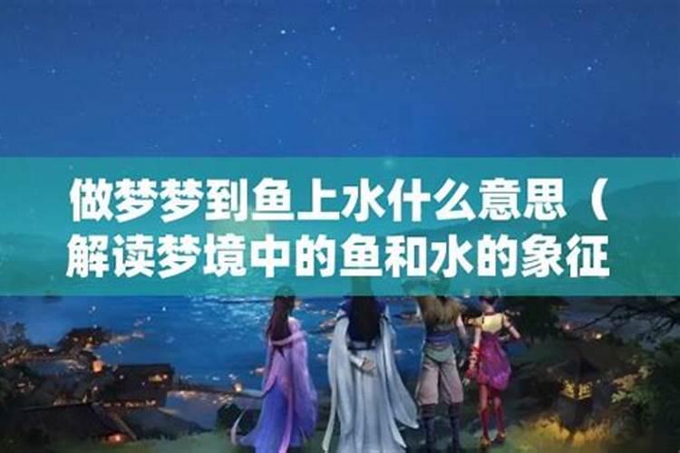 梦见水和鱼是什么预兆 女性