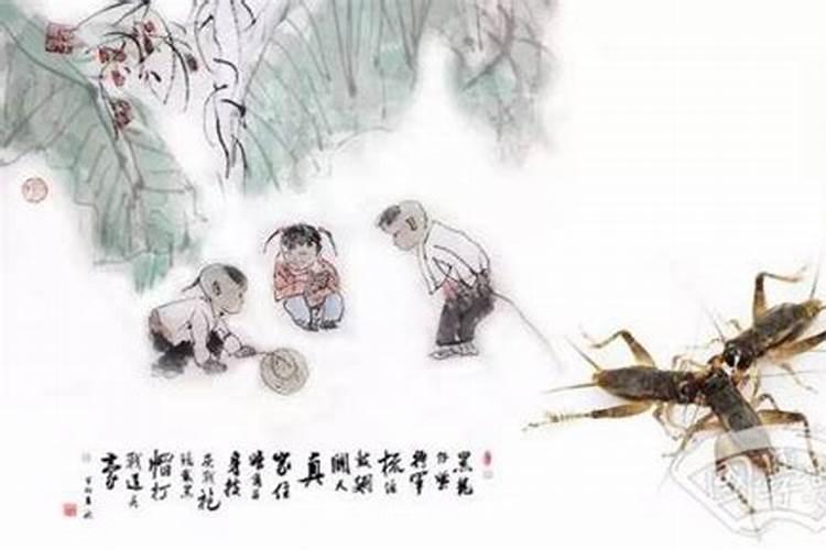 财神是男的还是女的啊