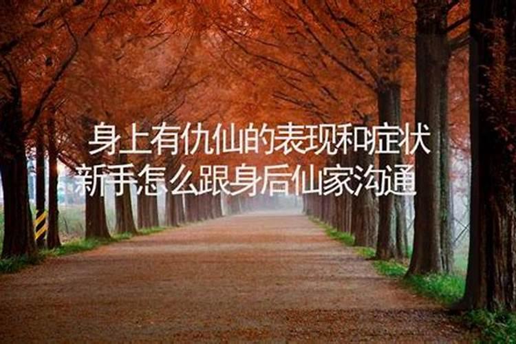 93年属鸡2025年一鸣惊人 93年生肖鸡25年运势
