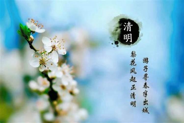 2025年属虎的运势怎么样