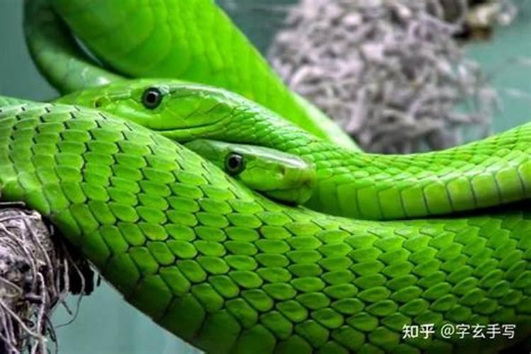 冬至为什么要吃团子呢？