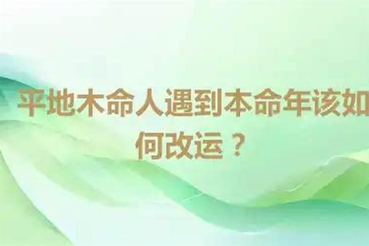 平地木命命带食伤吗,运势怎么样？