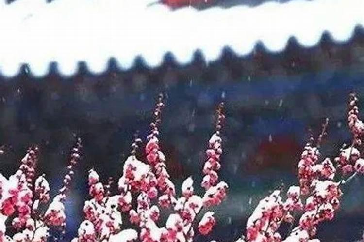 腊八节是几月几号哪一天