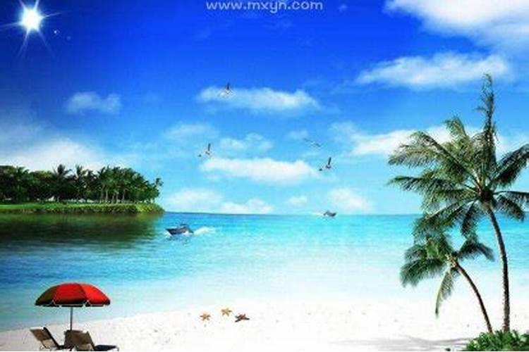 做梦梦到大海是什么意思