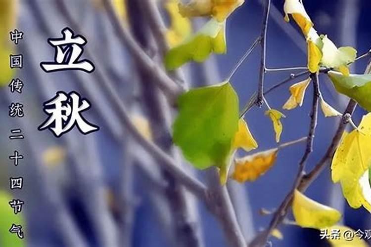 我是阳历1986年9月6日晚上20点左右出生的,想请教下大师关于我的五行的...