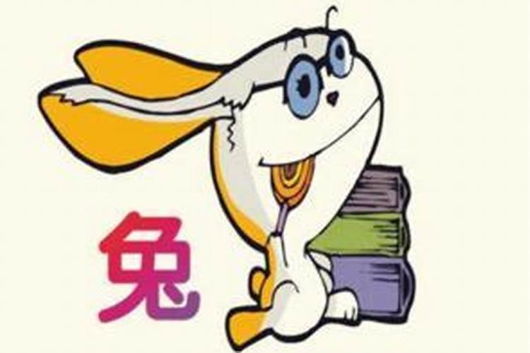 属兔人在哪些年份运气好点
