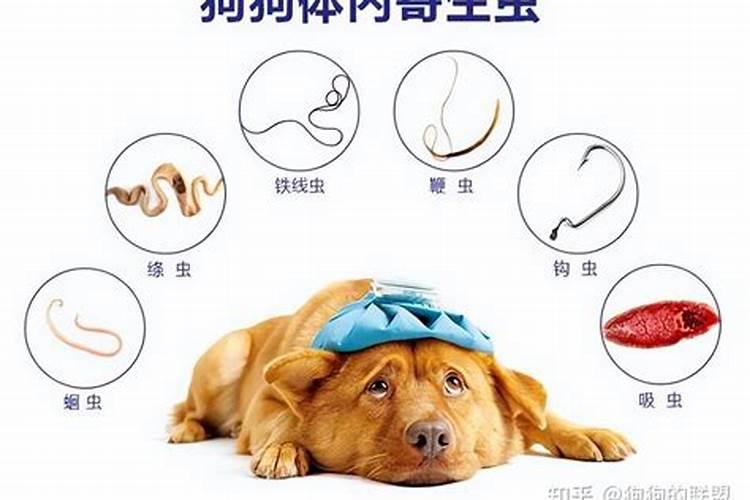 中秋节有哪些习俗100字以上