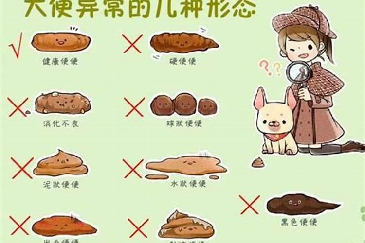 梦见老是上厕所的预兆
