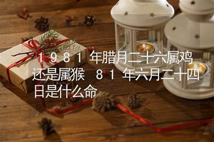 春节必做的十件事