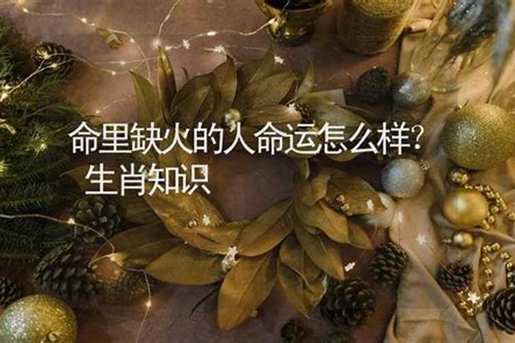 属龙 本命年 五行属火 缺木缺金 佩戴什么好 急!急!急!