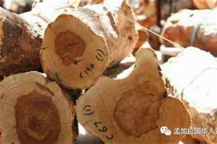 五行属火缺木该怎么补