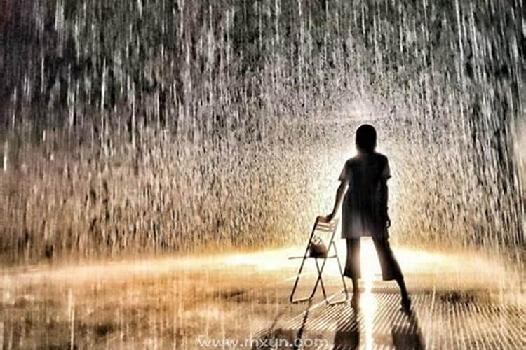 梦见被雨淋了是什么预兆