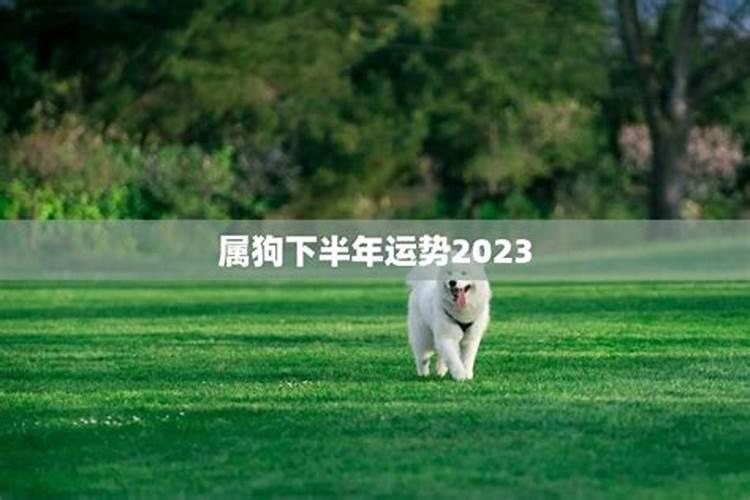 小升初感想作文