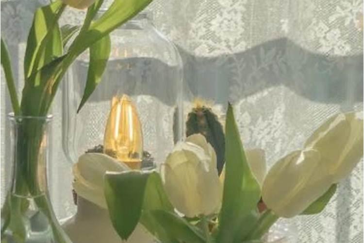 ...几婚不重要,关键是要嫁对人,二婚和头婚的8大区别是什么？