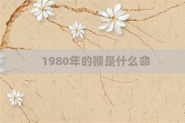 1980年属猴的是什么命？