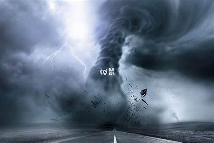 生肖猪1971年2025年运势如何 生肖猪1971年2025年全年运势