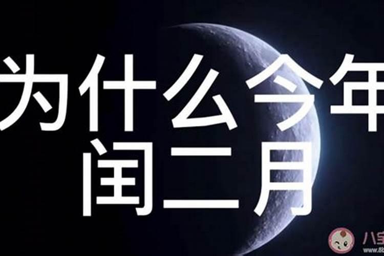 农历二月生的男孩命好吗