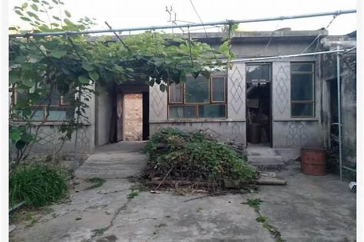 梦见老家院子趴着一只大黄狮子什么寓意？