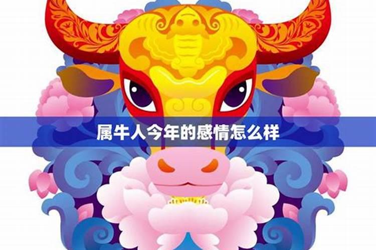 73年牛2025年运势及运程