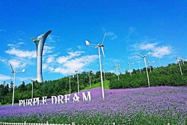 沈阳清明节踏青哪里好