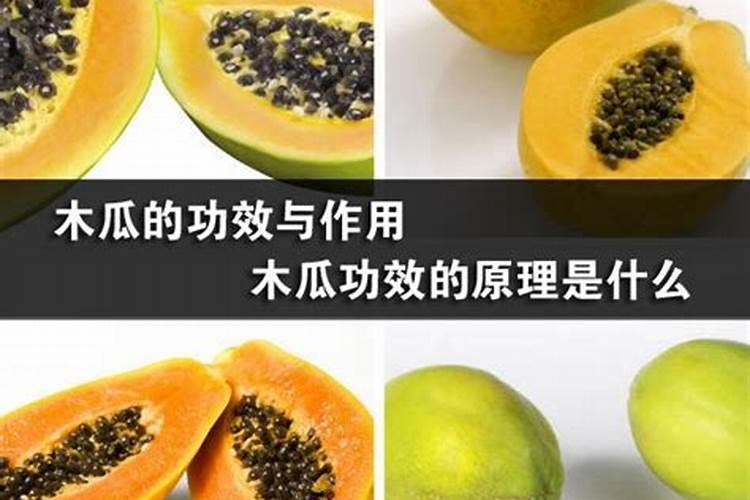 梦见摘木瓜的预兆