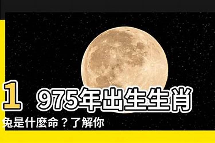 饿木命饿木人的风水大运方位